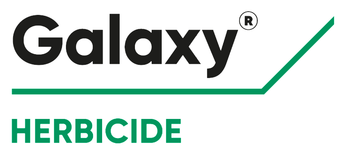 Galaxy Logo