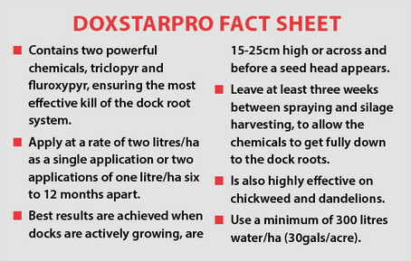 Doxstar Pro fact Sheet