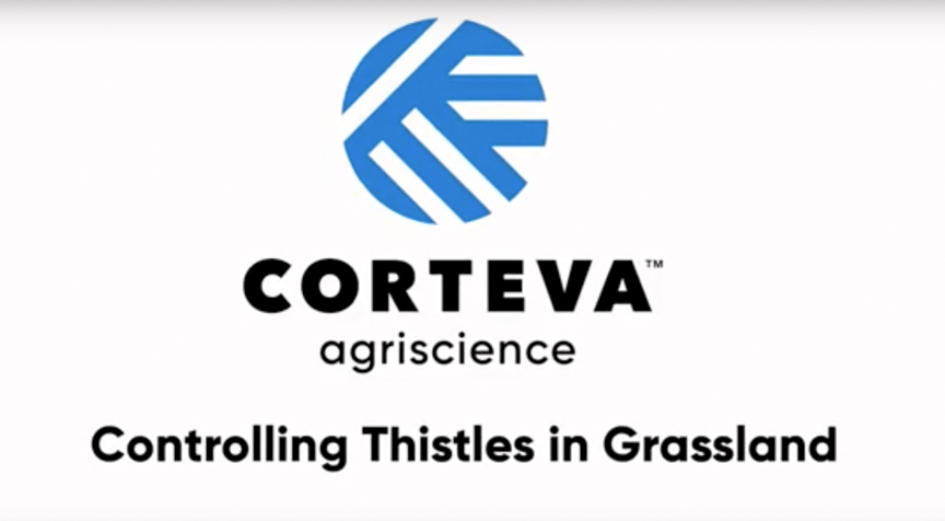 Controlling Thistles in Grassland