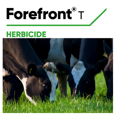 Forefront T the ideal weed killer for grazing pastures