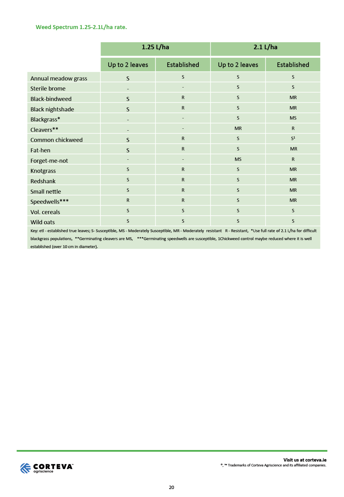 26. Korvetto Tech Sheet Ireland