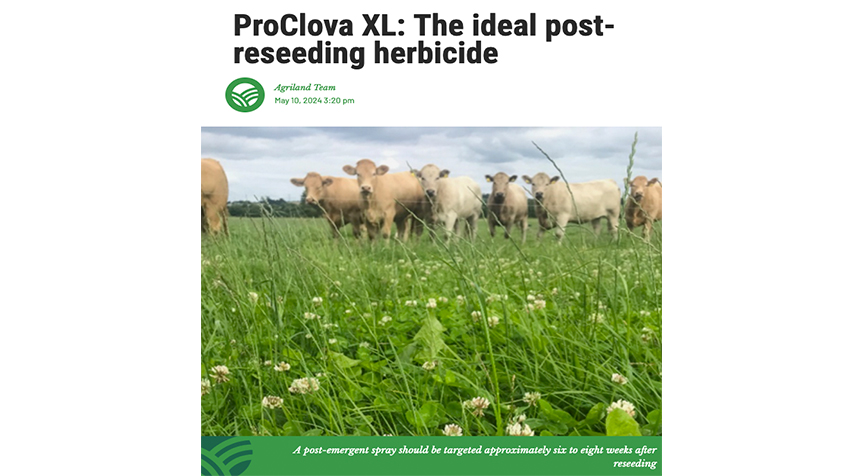 ProClova XL - The ideal post-reseeding herbicide