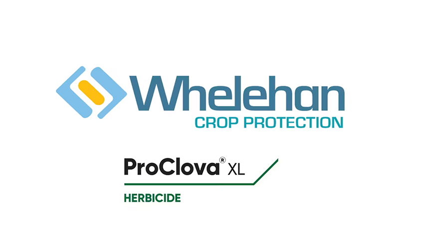 ProClova XL - Clover-safe herbicide