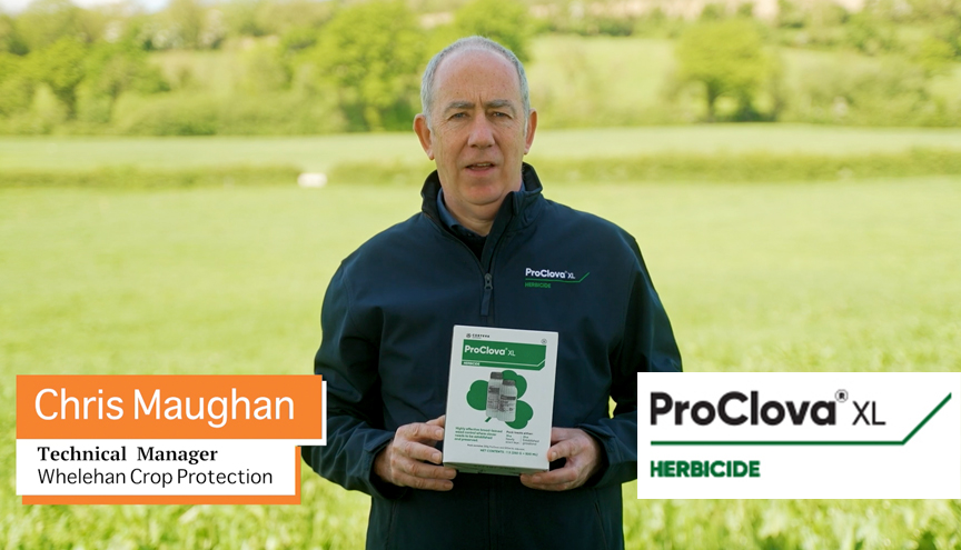 ProClova XL - Clover-safe herbicide