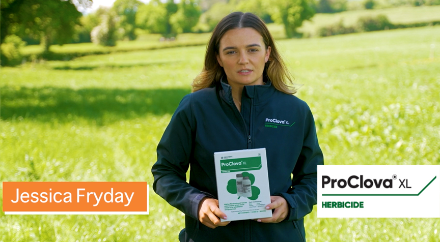 ProClova XL - Clover-safe herbicide