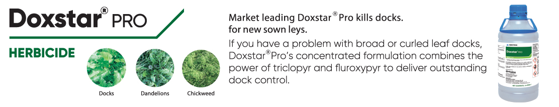 2.doxstar-pro.jpg