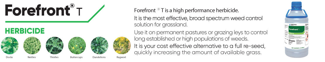 4.forefront-t.jpg