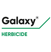 galaxy logo new