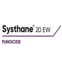 systahne Logo